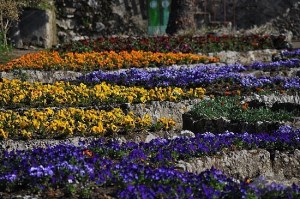 villa-rufolo-2-ravello